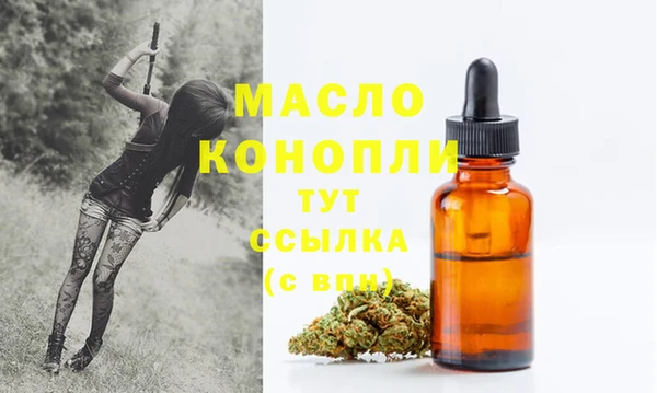 гидра Арсеньев