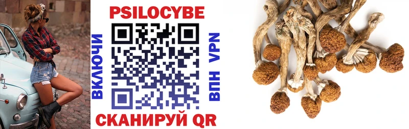 Галлюциногенные грибы мухоморы  наркошоп  Судак 